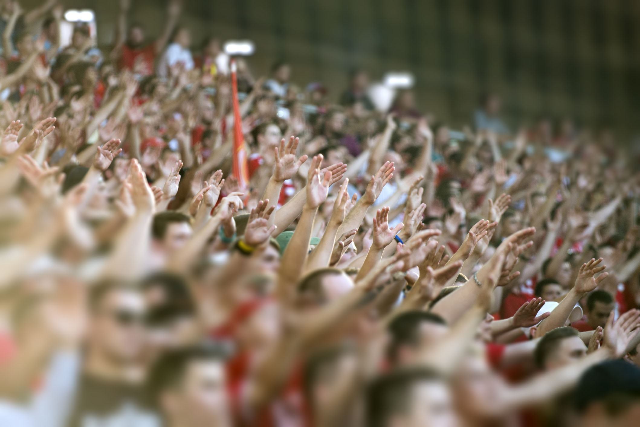 Fans with hands raised in the stands